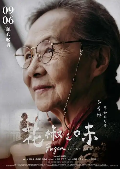 纸鸢少年青春动漫免费观看